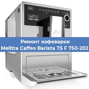 Чистка кофемашины Melitta Caffeo Barista TS F 750-202 от накипи в Екатеринбурге